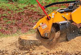 Best Tree Mulching Services  in Wesson, MS